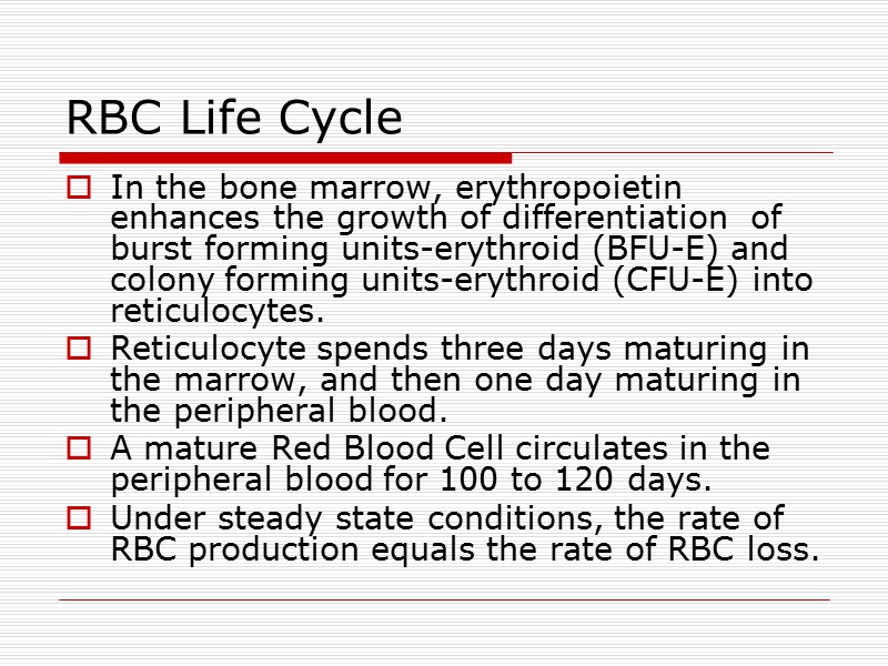 RBC Life Cycle   In the bone marrow, erythropoietin enhances the growth of